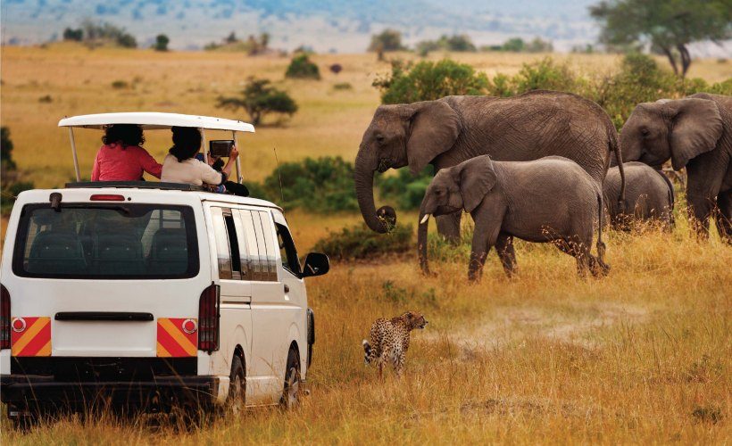 Kenya Travel Tips - Safari Advice & Guide to Kenya, Kenya National Parks