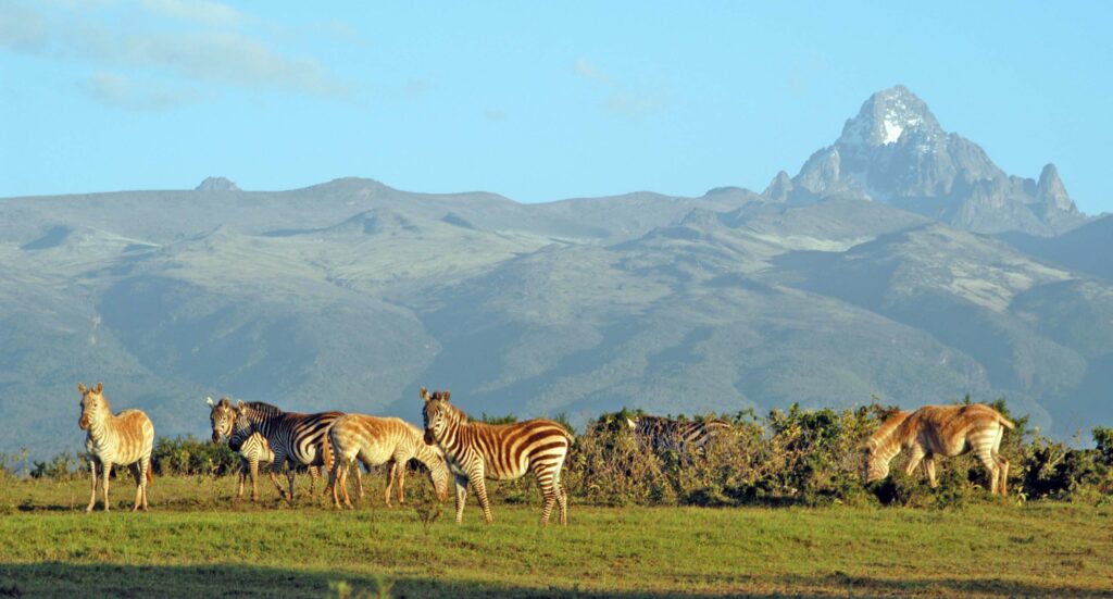 National Parks in Kenya, Wildlife Tours in Kenya, Adventure Trips