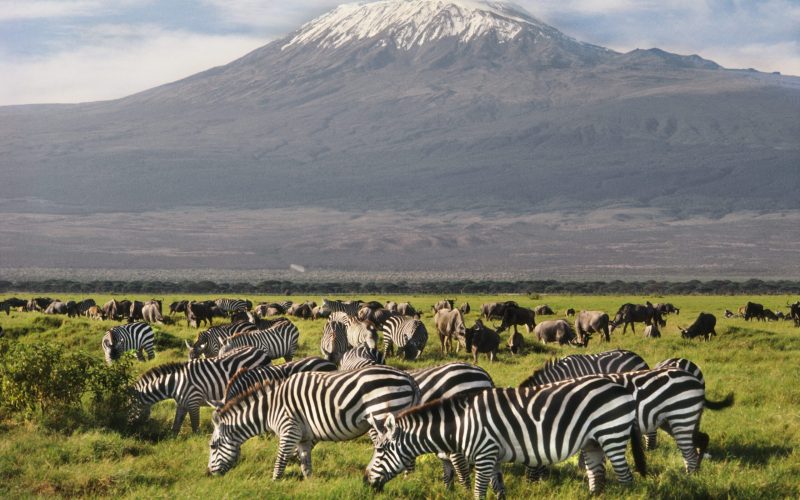 Amboseli National Park