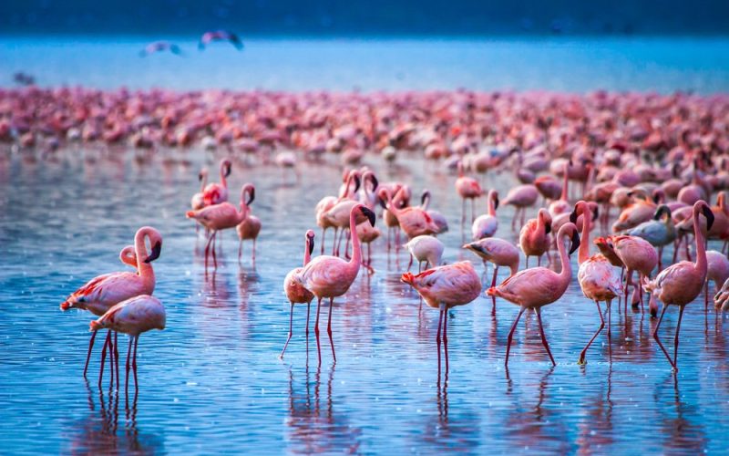 Lake Nakuru National Park