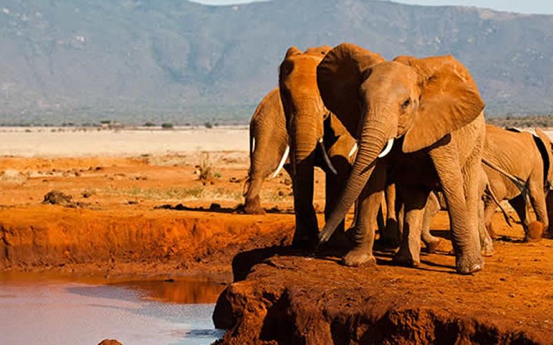 Tsavo East National Park